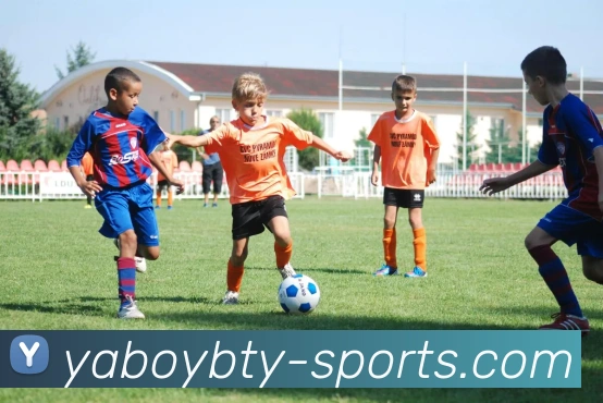 多媒体互动体验